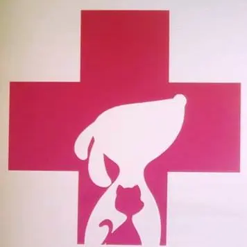 Centro Veterinario de Esterilización Puck
