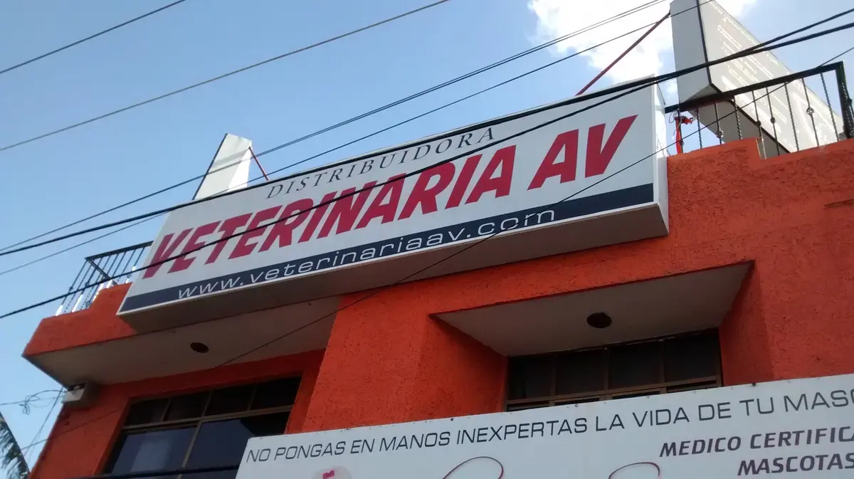 Distribuidora Veterinaria AV — foto 5 de 7