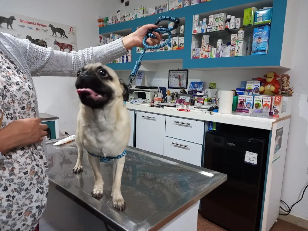 LA JOYA RYU VETERINARIA