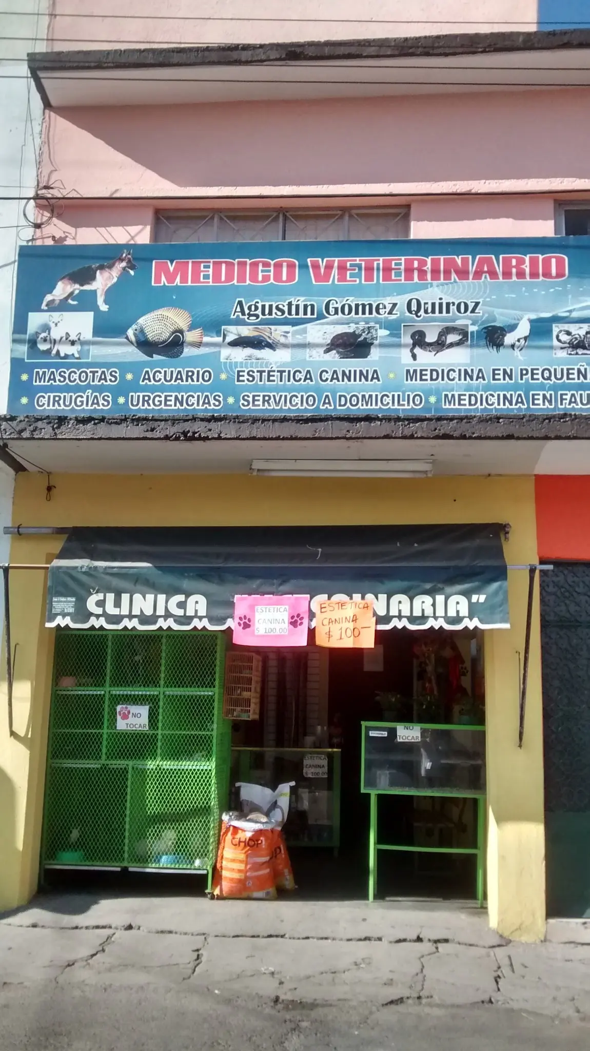 Medico Veterinario Agustín Gómez Quiroz