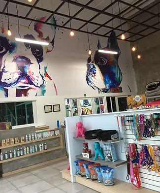 PET SET Las Plazas (Irapuato) — foto 3 de 4