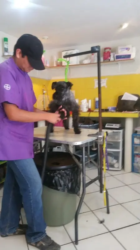 Royal Vet