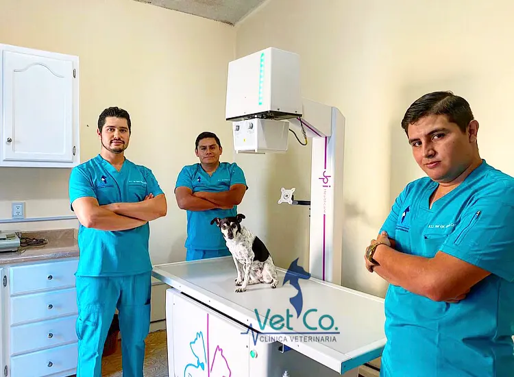 Clínica Veterinaria Vet-Co