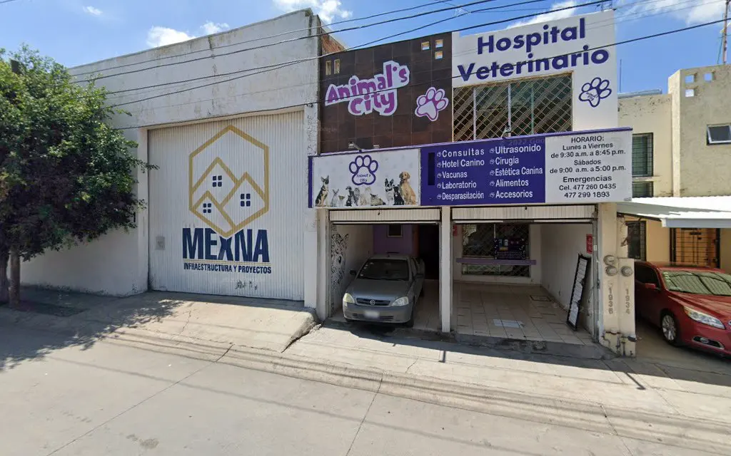 Veterinaria Animal's City