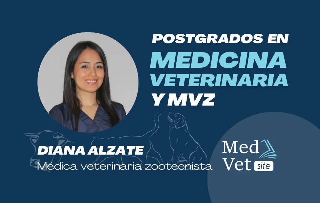 Centro Veterinario de Especialidades