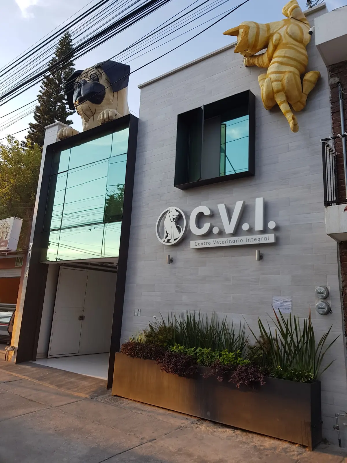 Centro Veterinario Integral