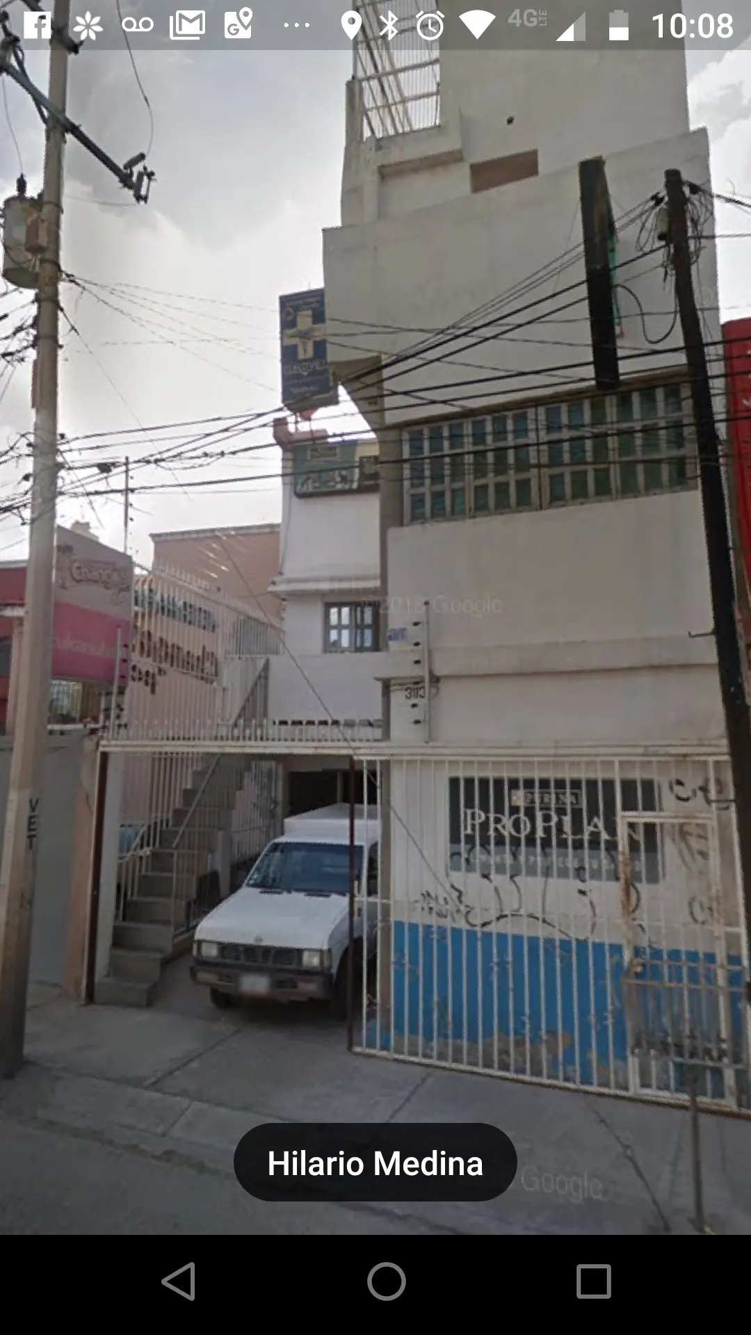 Changos pet — foto 3 de 3