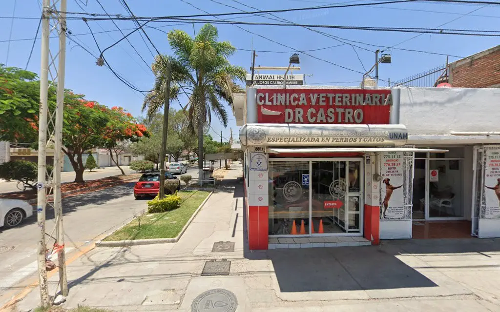 Clinica Veterinaria Dr. Castro