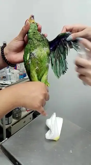 Clínica Veterinaria Dr. Chávez — foto 2 de 3