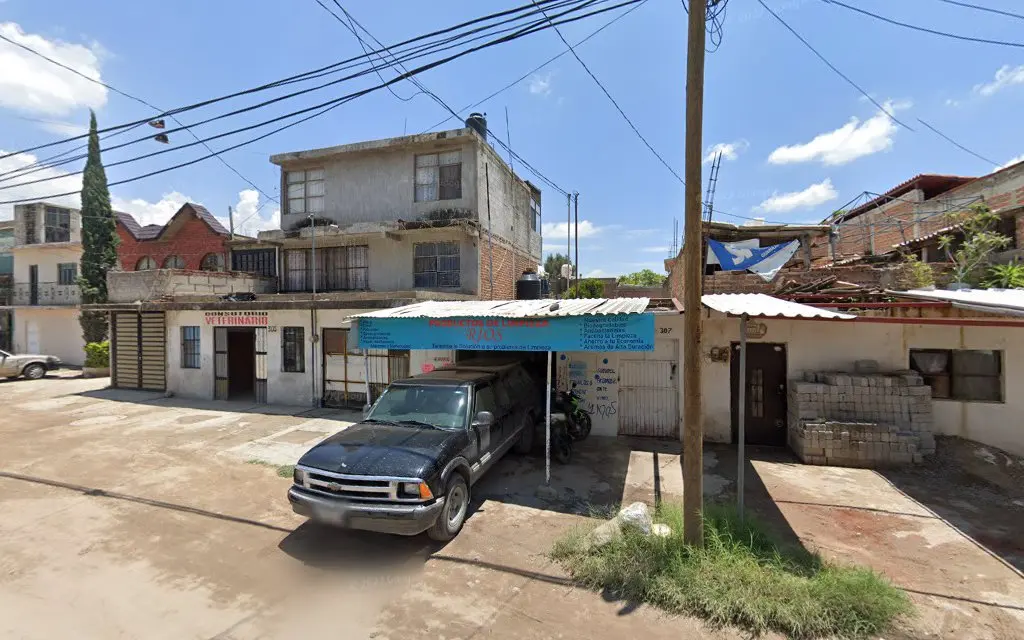 Consultorio Veterinario