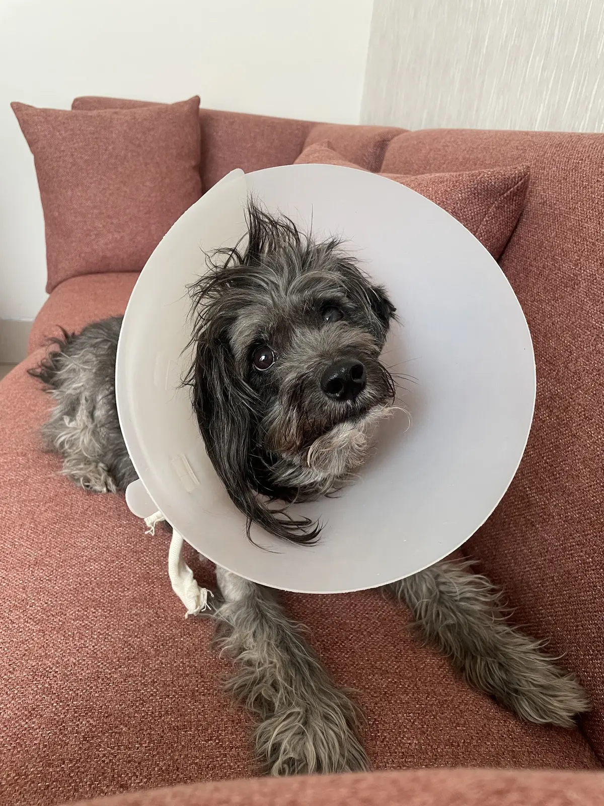 Dr Franco — foto 2 de 3