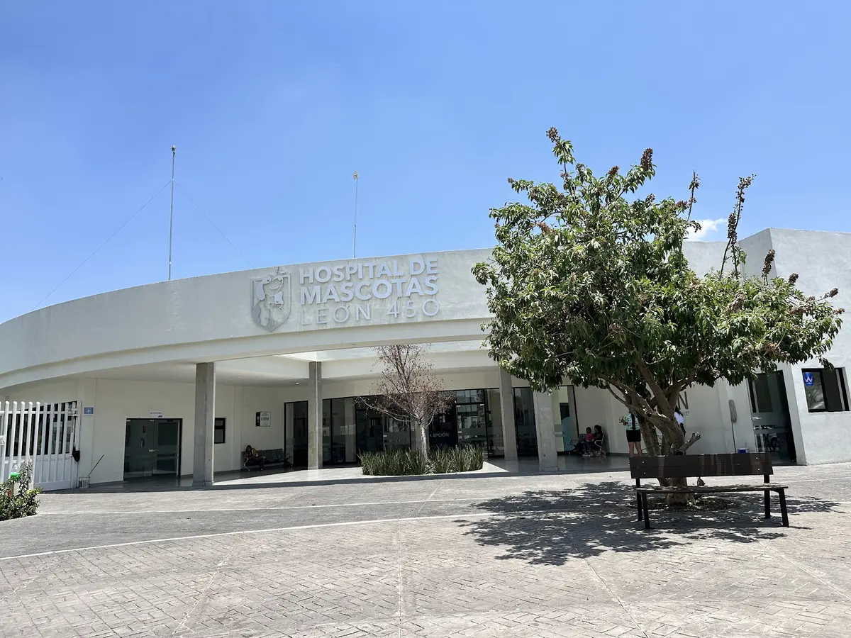 Hospital de Mascotas León 450