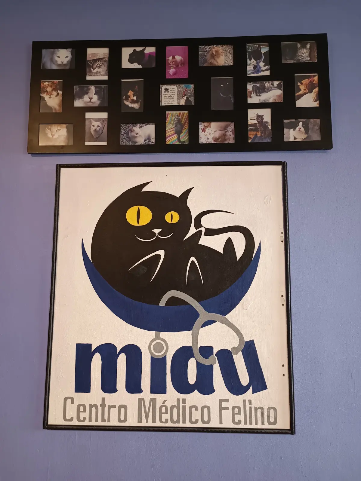 Miau centro médico felino — foto 2 de 3