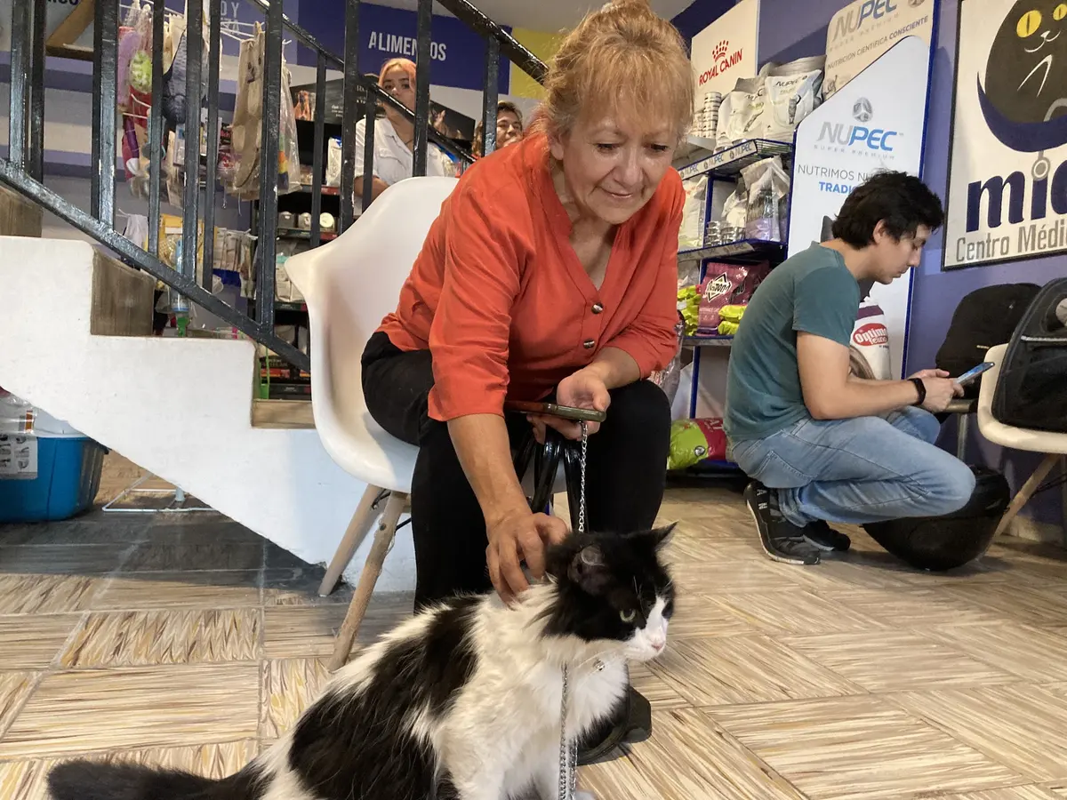 Miau centro médico felino — foto 3 de 3