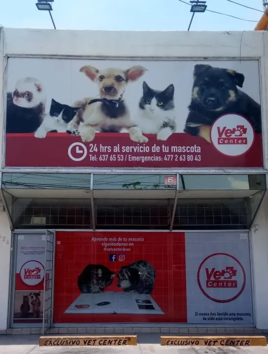 Vet Center León — foto 2 de 3