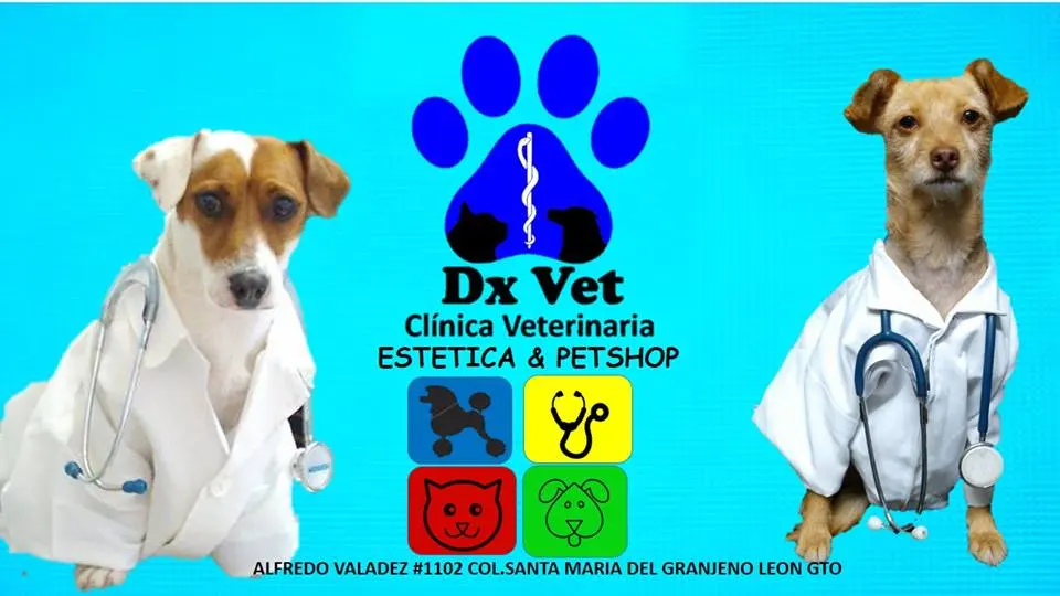 VETERINARIA DxVet — foto 2 de 3