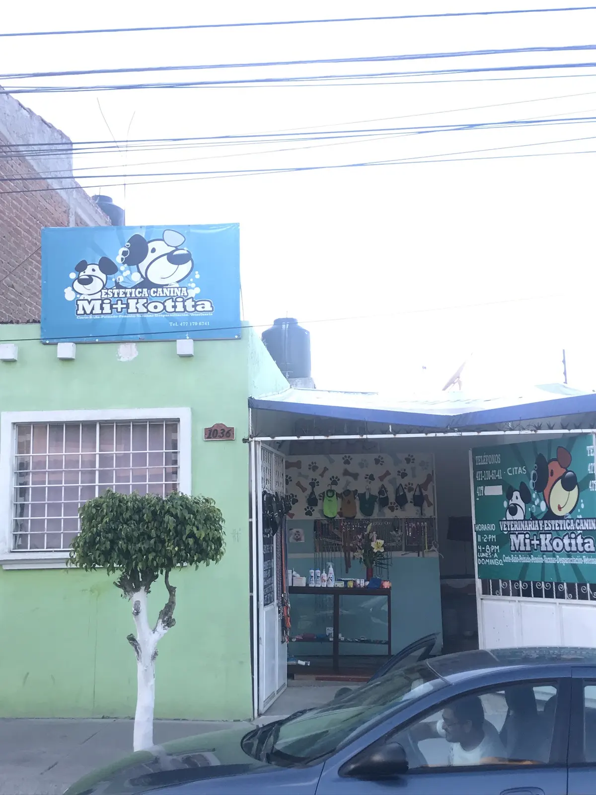 Veterinaria Mi+Kotita