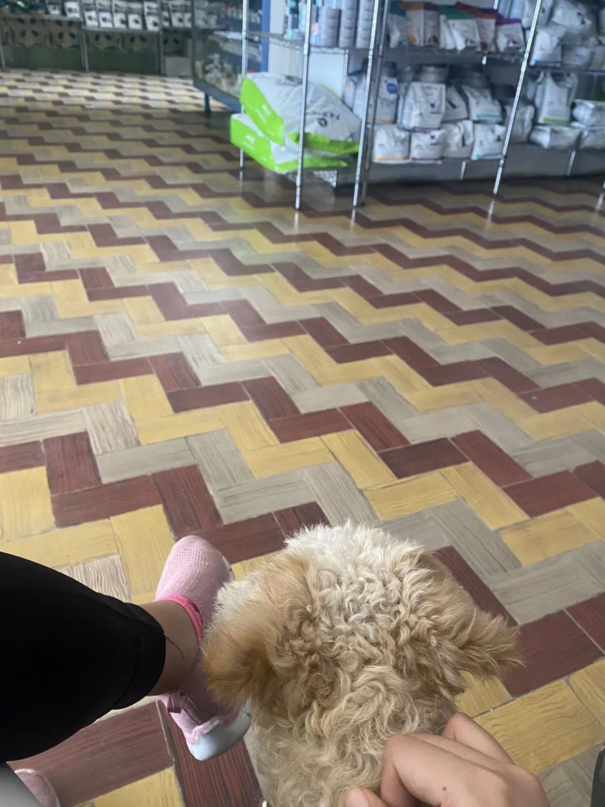 Veterinaria Moya