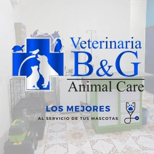 Veterinaria B&G Animal Care
