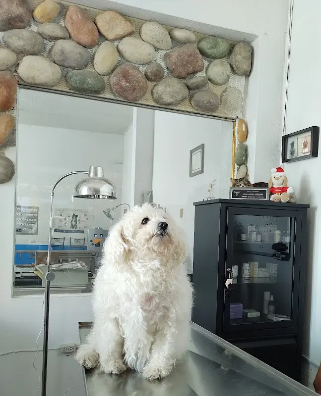 ANIMAL HEALTH HOSPITAL VETERINARIO