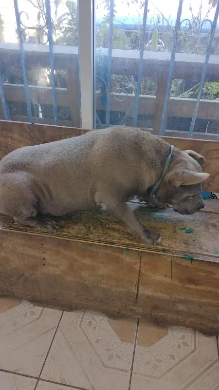 Veterinaria El Corral