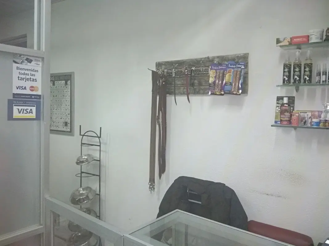 Animal`s Care Veterinaria
