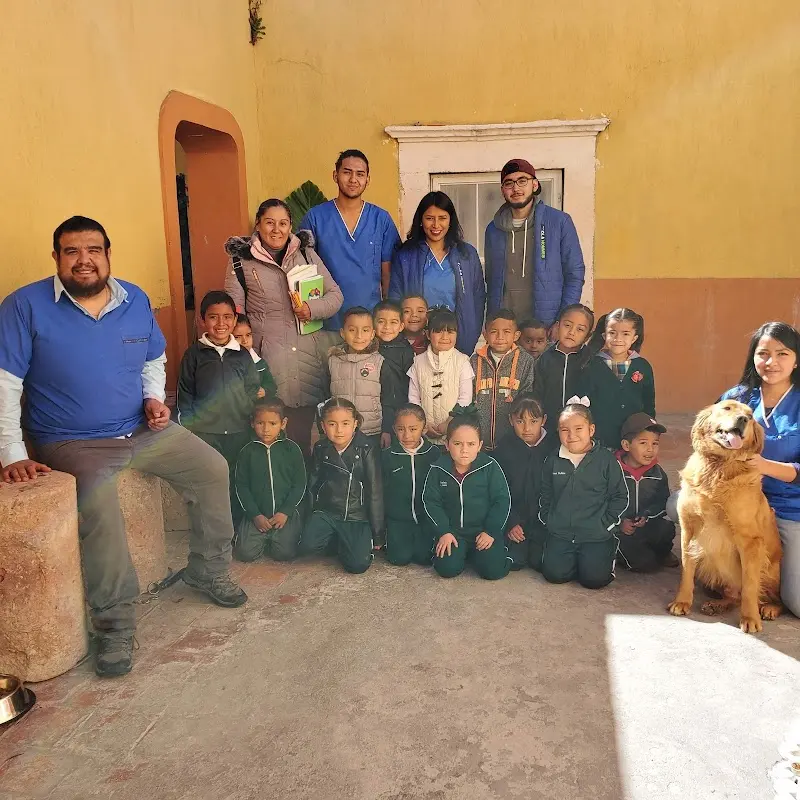 Veterinaria Patlan