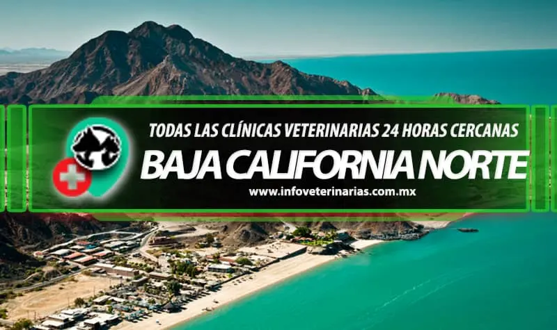 Veterinaria Pets