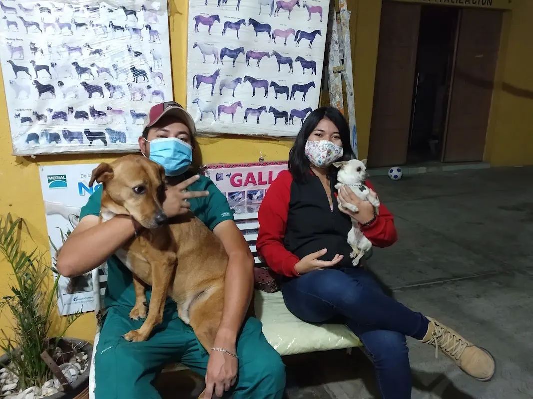 Consultorio Veterinario del Dr Oscar