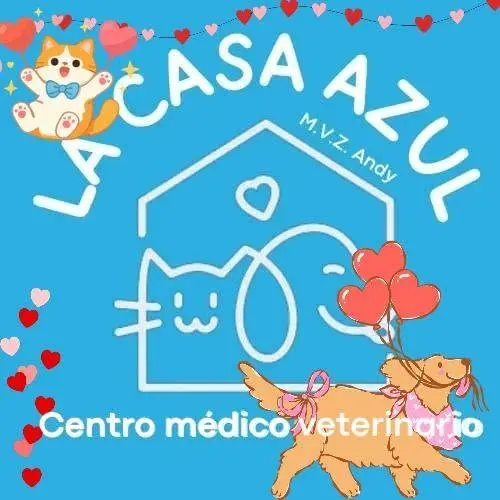 La Casa Azul vet