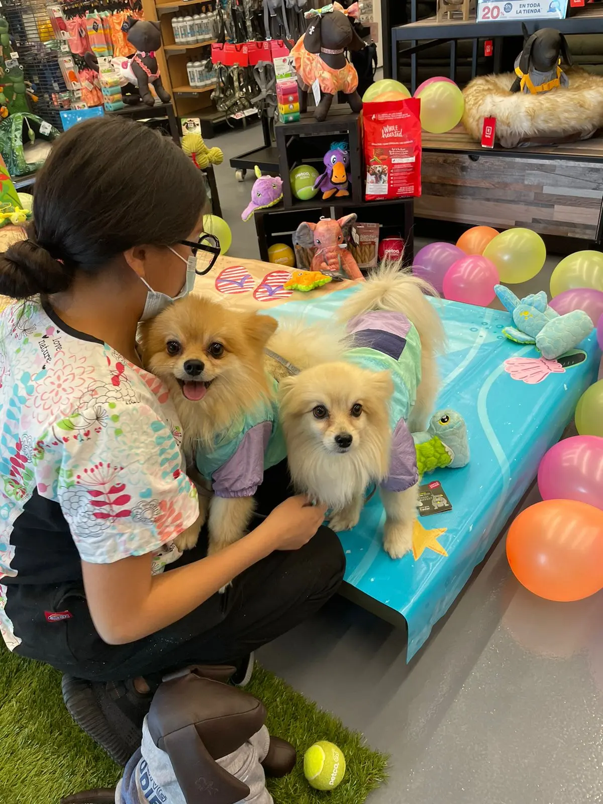 Petco San Miguel de Allende II (Express) — foto 3 de 3