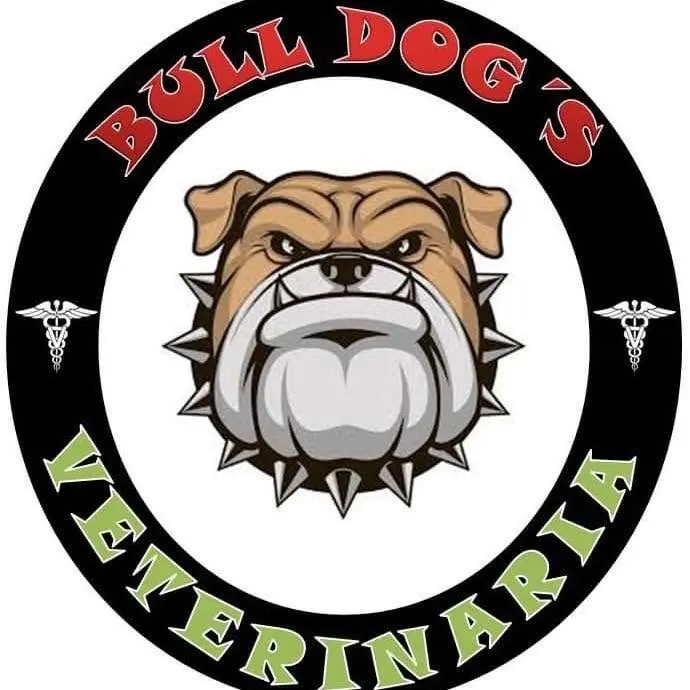 Bull Dogs Veterinaria
