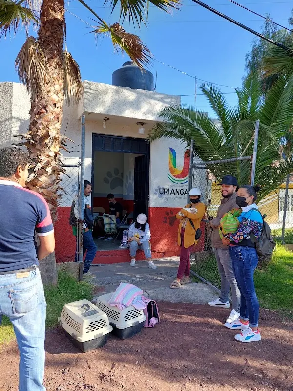 Centro de Atención y Esterilización Canina y Felina de Uriangato