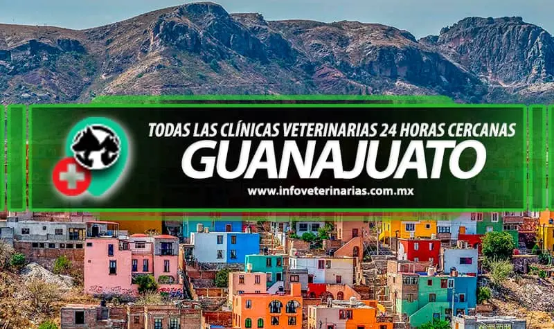 Servicios Veterinarios Integrales