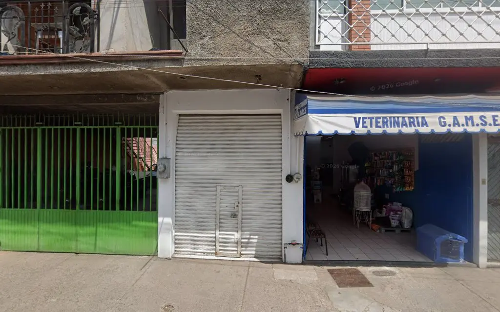 Veterinaria Gamse
