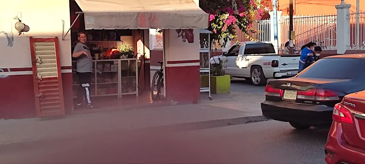 Veterinaria "La Fe"