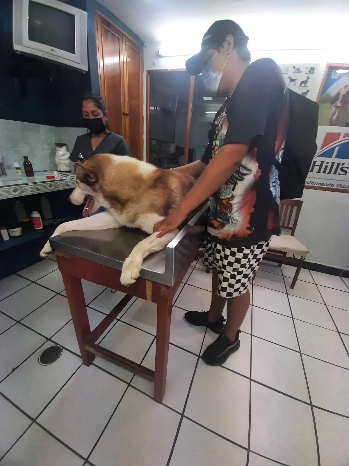 Centro Medico Veterinario — foto 2 de 3