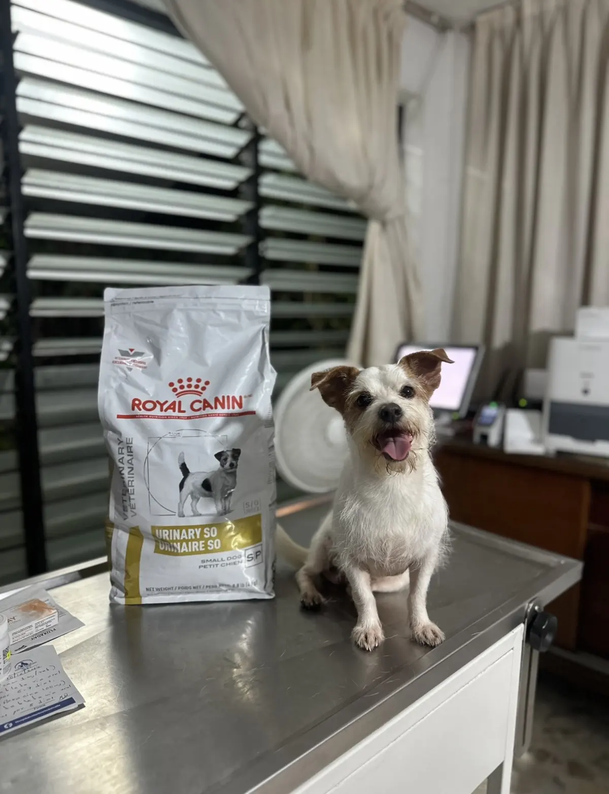 HOSPITAL VETERINARIO DEL VALLE