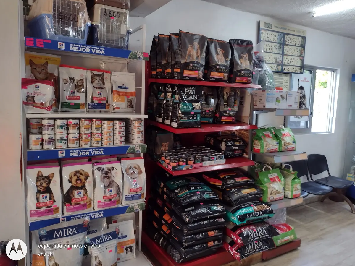 Veterinaria Como Perros y Gatos