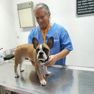 Veterinaria Dr. Nájera