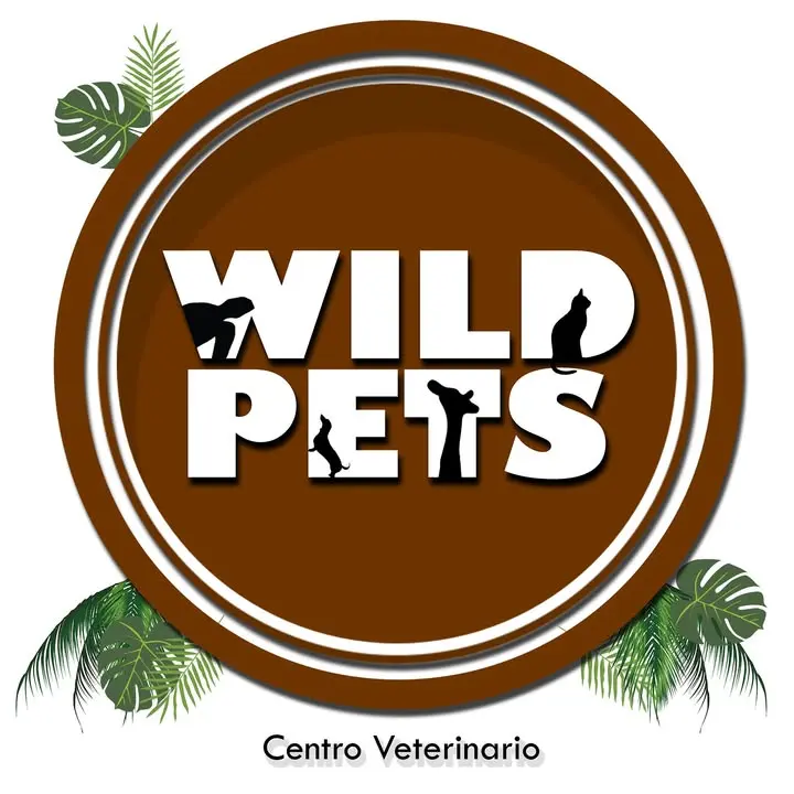 Wild pets
