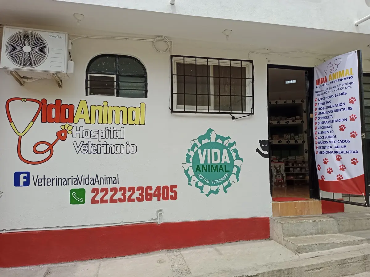 HOSPITAL VETERINARIO CALIDAD DIAGNOSTICA — foto 2 de 3