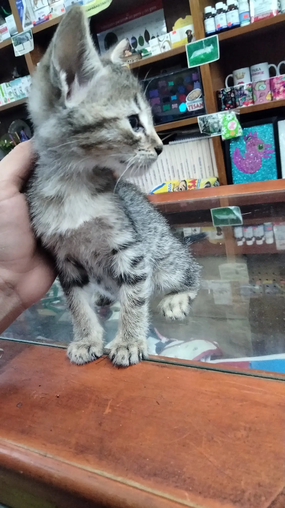 Tesan