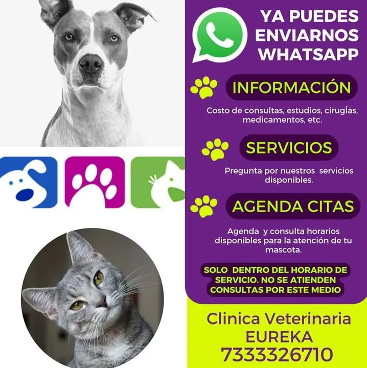 Eureka Clínica Veterinaria