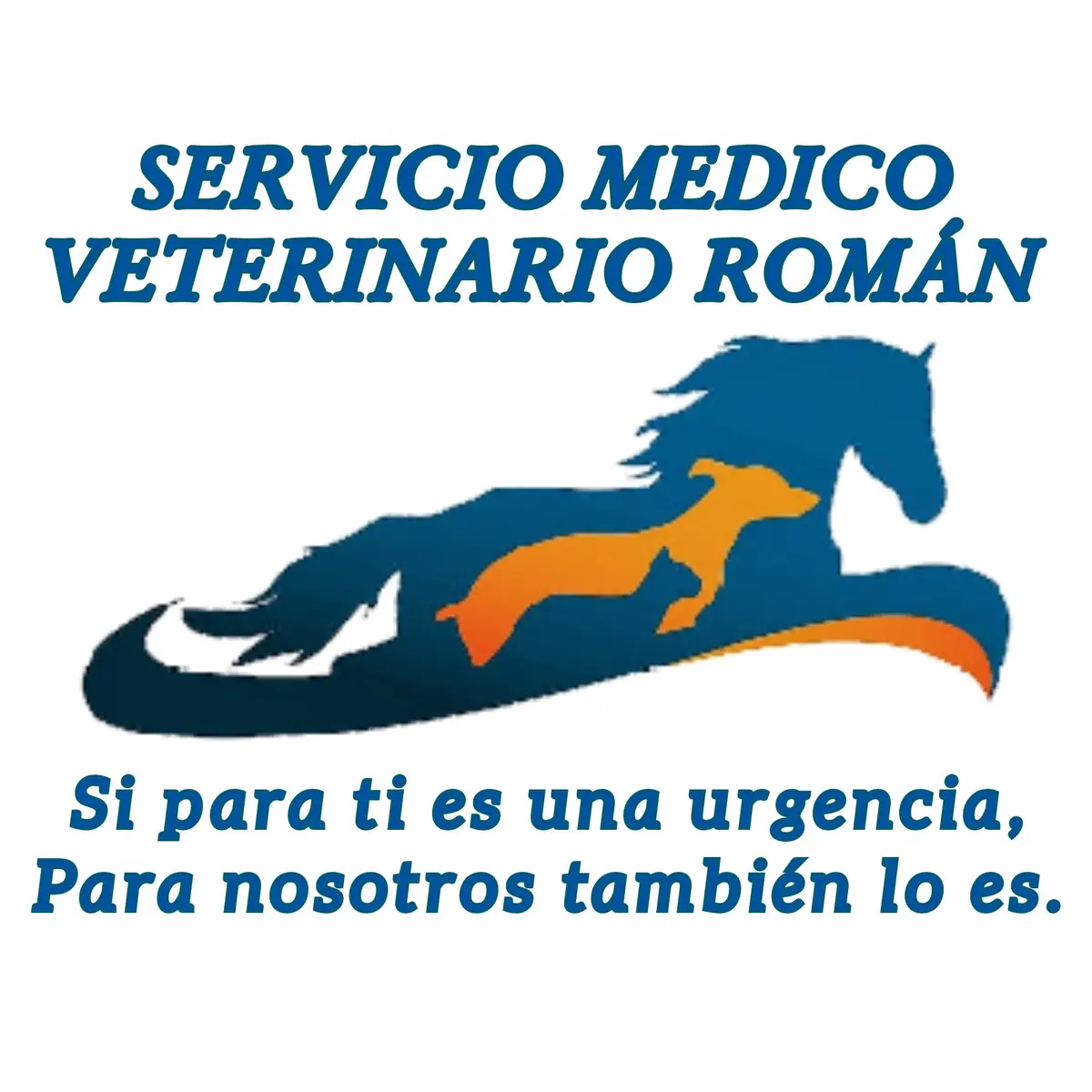 Servicio Médico Veterinario Román — foto 2 de 3