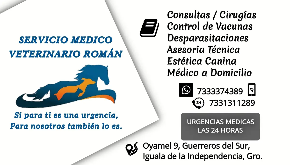 Servicio Médico Veterinario Román