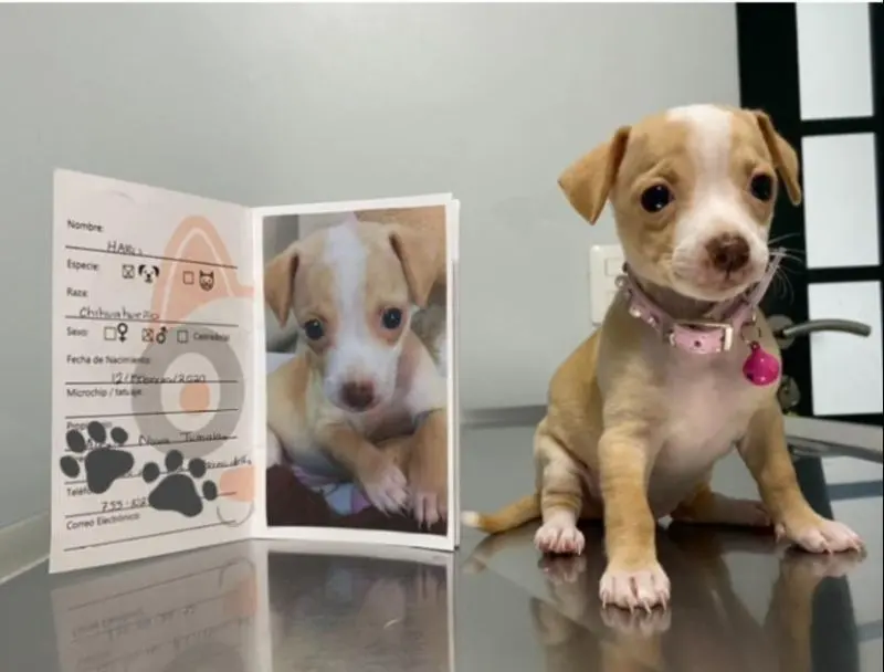 Hospital Veterinario de Especialidades Nutrizoo