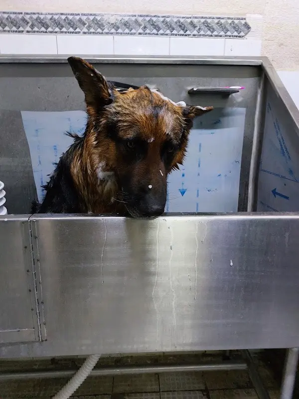 Clínica Veterinaria del Valle