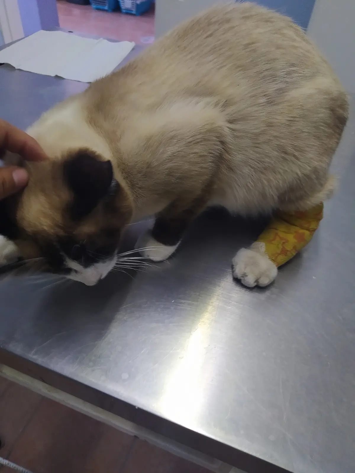 Clínica Veterinaria "Franco"