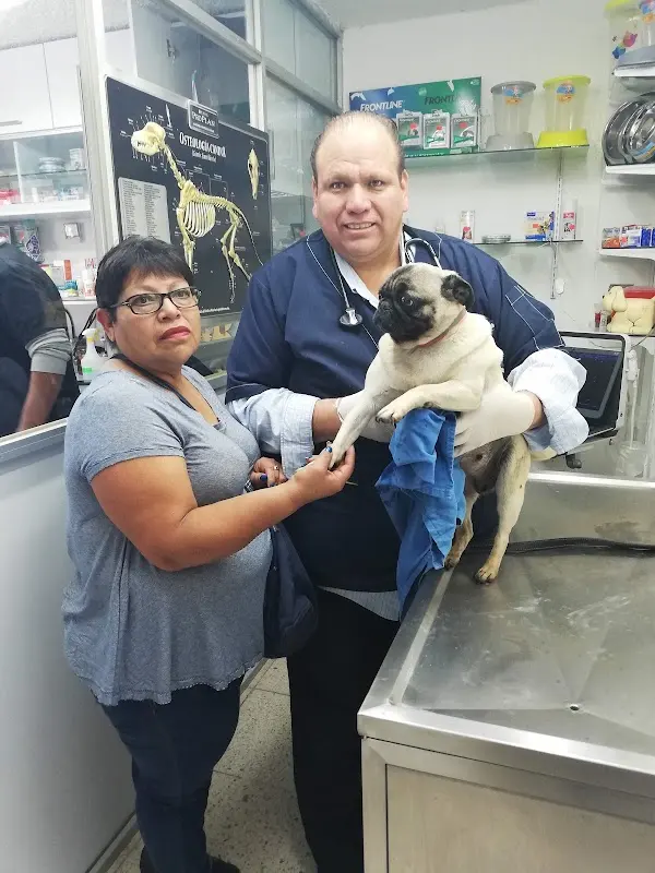 CLINICA VETERINARIA MONROY MATRIZ